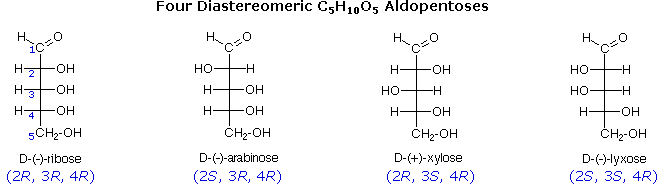 Fischer Projections Chemistry LibreTexts