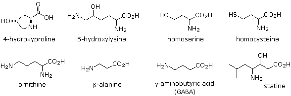 Chemical structure diagram of 4-hydroxyproline, 5-hydroxylysine, homoserine, homocysteine, ornithine, beta-alanine, gamma-aminobutyric acid (GABA), and statine.
