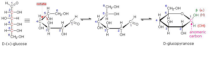 glucose anomer