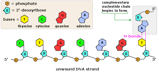 pin-on-chemistry