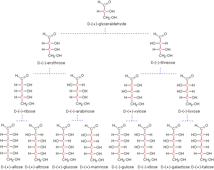 Organic Macromolecules Chart