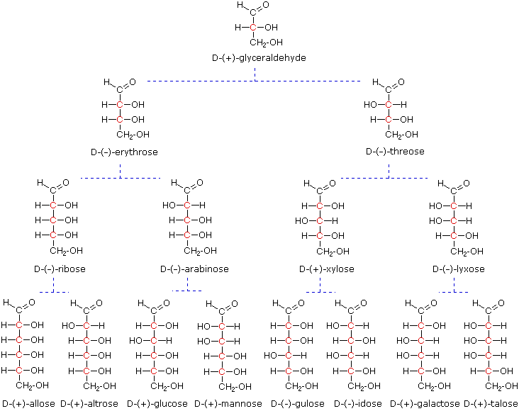 carbohydrates structure