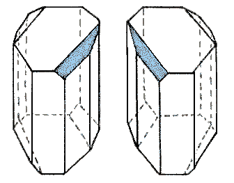 3D shape of tartaric acid. 