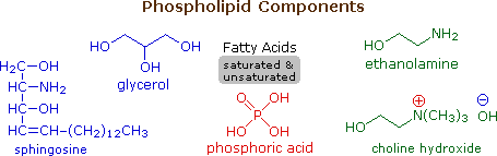 Phospholipids Chemical Structure