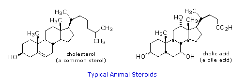 purchasing steroids Gets A Redesign