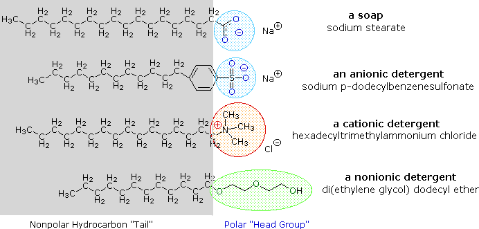 Detergent chemistry on sale