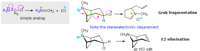 Carbanion Stability Examples