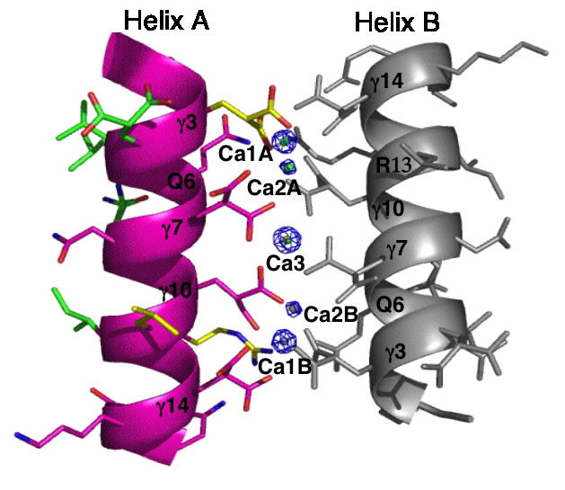 Bioorganic chemistry