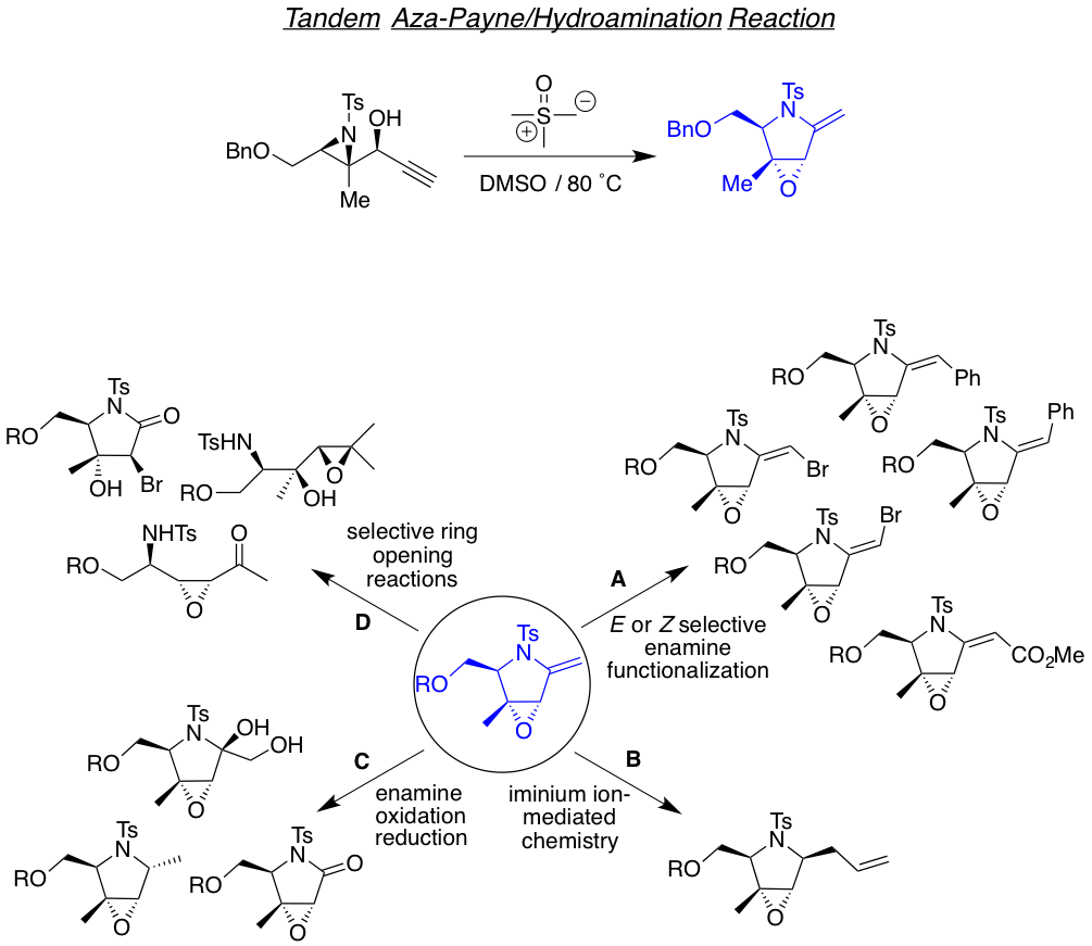 Bioorganic chemistry. Органическая химия. Кортизол органическая химия. Дерябина органическая химия. Химическая структура синикарб.