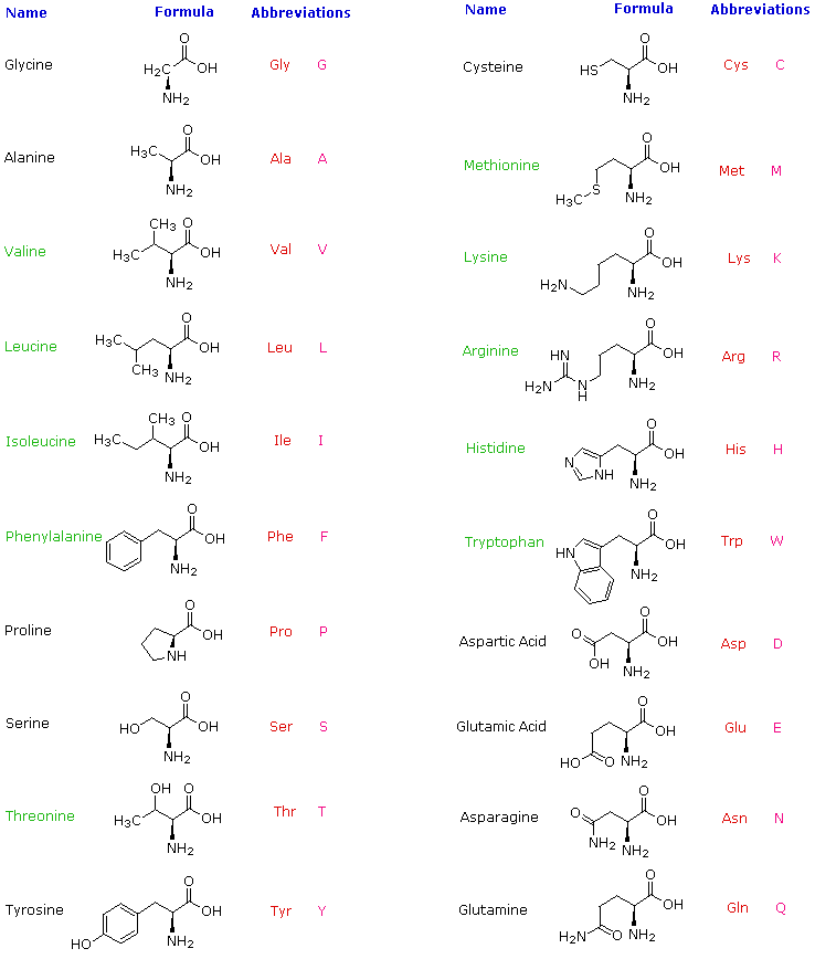 Natural Amino Acids Chart