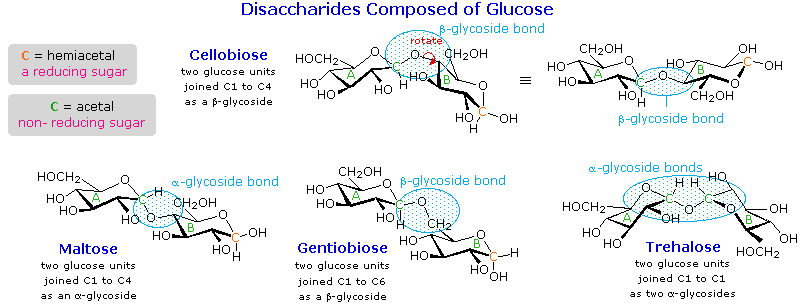 Carbohydrates