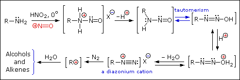 Amine Reactivity