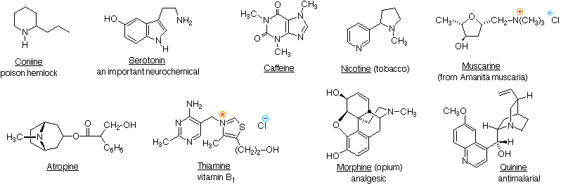 amine structure