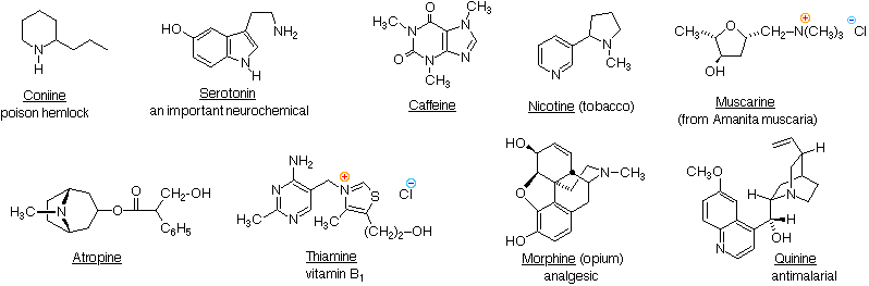 Amine Reactivity