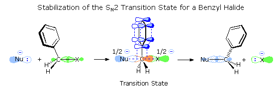 Alkyl Halide Reactivity