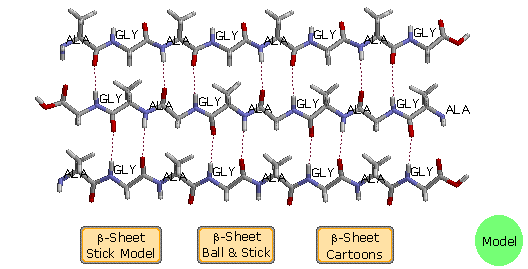 The three-dimensional structure of a protein.-helices are colored