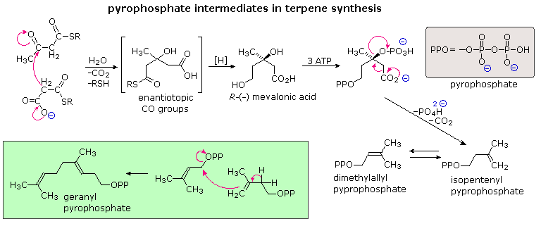 Lipids