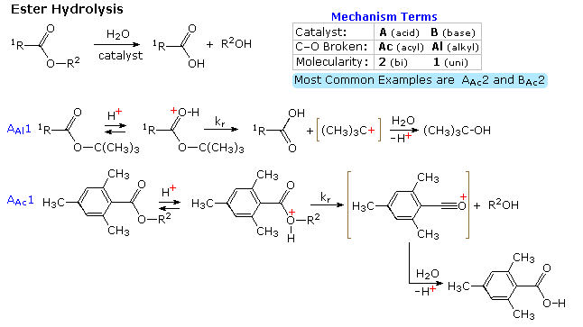 Catalysis   wikipedia