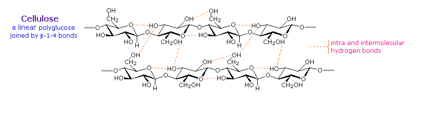 maltose chair conformation