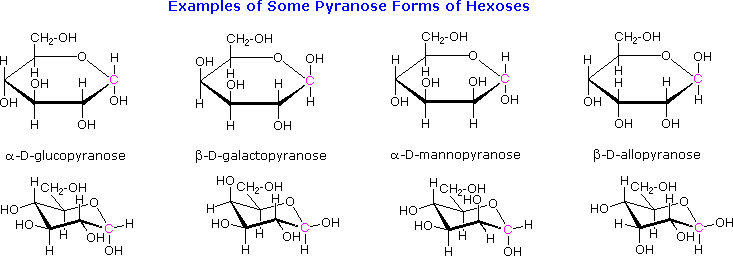 arabinose cyclic structure