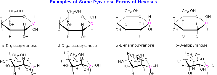 monosaccharide examples