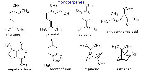 lipid examples