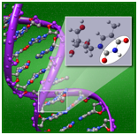 ccCA has been utilized in a broad range of studies, from studies identifying potentially new highly energetic nitrogen species to studies investigating CO2 scrubbers.  Here, ccCA was utilized to characterize various possible protonation sites in DNA, sites that may be possible “trigger” sites for the onset of cancer. (from J. Comp. Chem. 2012, 32, 2590; cover article)