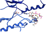 The conformation-activity and structure-activity relationships within the oligomer assembly of IKKβ that are impacted upon activation, mutation, and binding of ATP have been investigated. Here, the ATP ligand is positioned in the mouth of the activation loop, where the adenine head of ATP is pointed towards Asp166 and the phosphate tail is outside of the pocket. (J. Chem. Info. Mod. 2014, 54, 562)